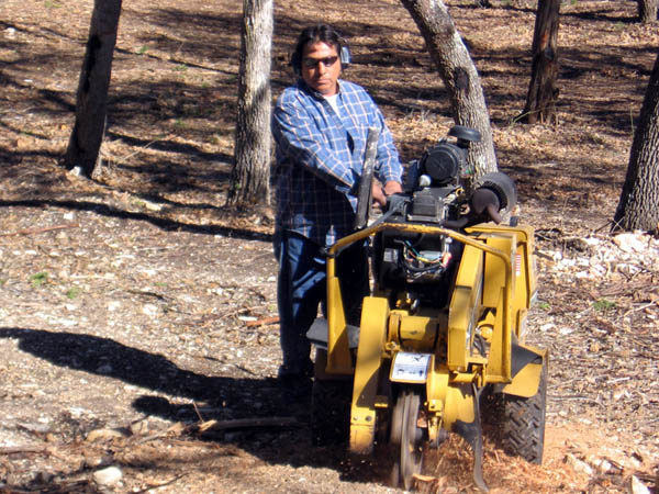 San Antonio tree trimming service and stump removal
